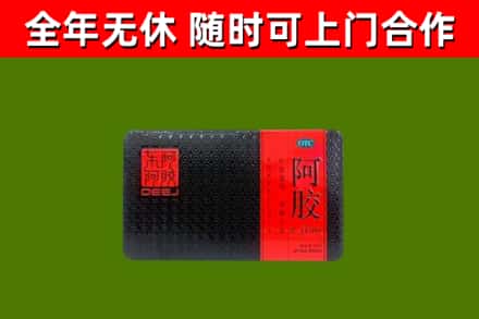 宁波烟酒回收阿胶.jpg